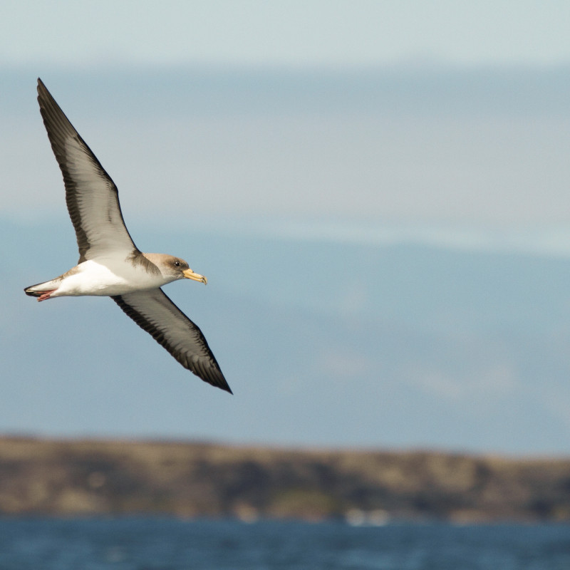 Abama Hotels sustainability and certifications